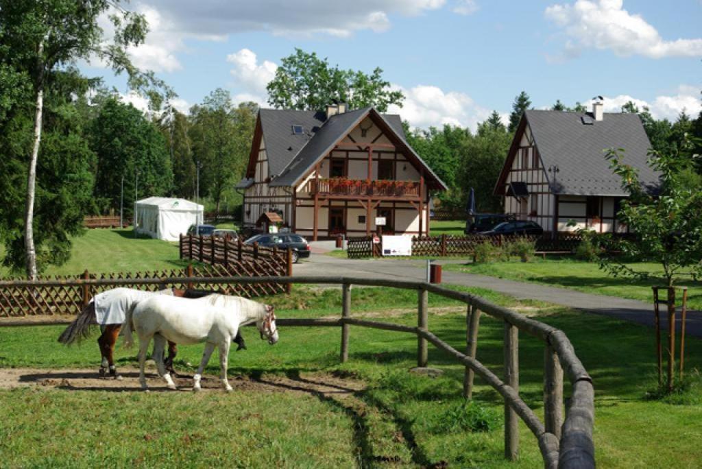Apartman Alena Karlovy Vary Dış mekan fotoğraf
